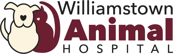 Welcome to williamstownvet.com